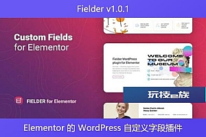 Fielder v1.0.1 – Elementor 的 WordPress 自定义字段插件