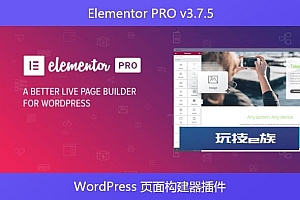 Elementor PRO v3.7.5 – WordPress 页面构建器插件