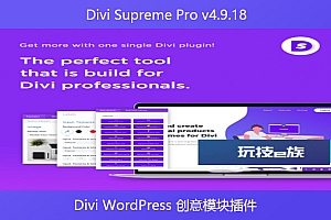 Divi Supreme Pro v4.9.18 – Divi WordPress 创意模块插件