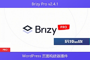 Brizy Pro v2.4.1 – WordPress 页面构建器插件