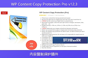 WP Content Copy Protection Pro v12.3 – 内容复制保护插件