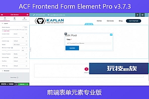 ACF Frontend Form Element Pro v3.7.3 – 前端表单元素专业版