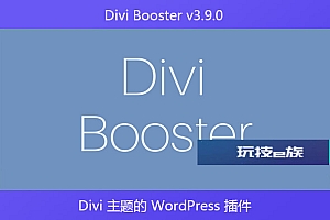 Divi Booster v3.9.0 – Divi 主题的 WordPress 插件