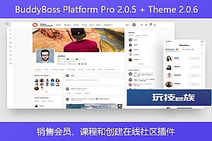 BuddyBoss Platform Pro 2.0.5 + Theme 2.0.6 – 销售会员、课程和创建在线社区插件