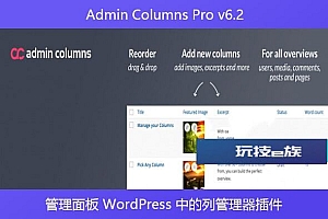Admin Columns Pro v6.2 – 管理面板 WordPress 中的列管理器插件