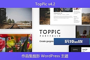 TopPic v4.2 – 作品集摄影 WordPress 主题